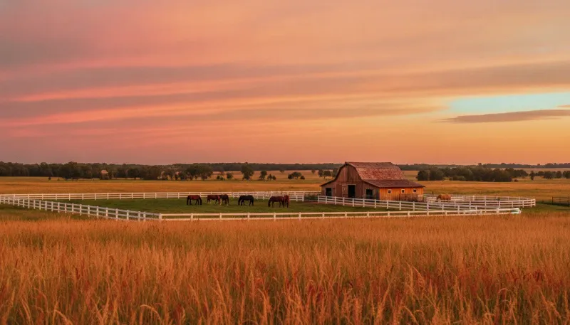 Illinois horse country. Backdrop for the Equestrian Hubs Illinois stable directory